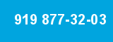 919 877-32-03 919 877-32-03